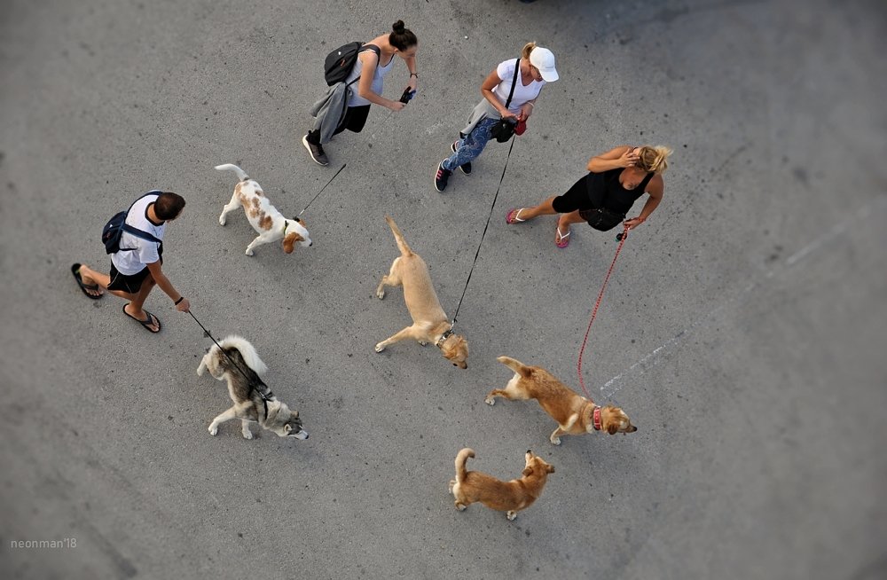 Photograph by Stoyan Baev