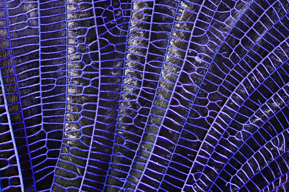 Photograph by Иван Михайлов