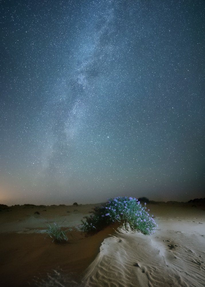 Photograph by Владимир Петрукович