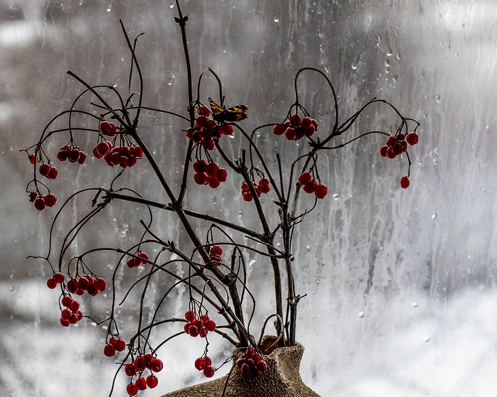 Photograph by Евгений Барзенков