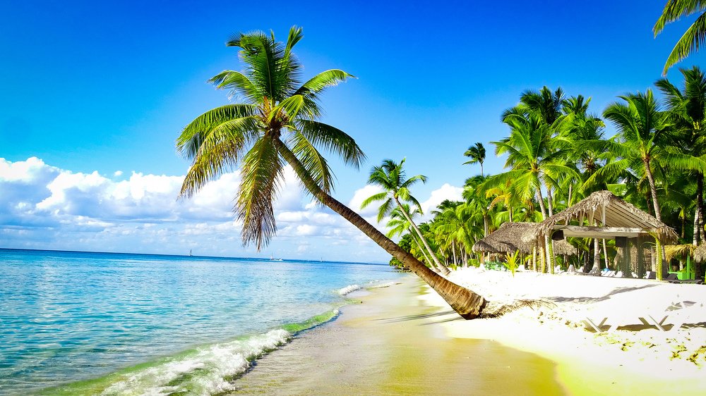 Photograph by Junior rafael Rodriguez enrique