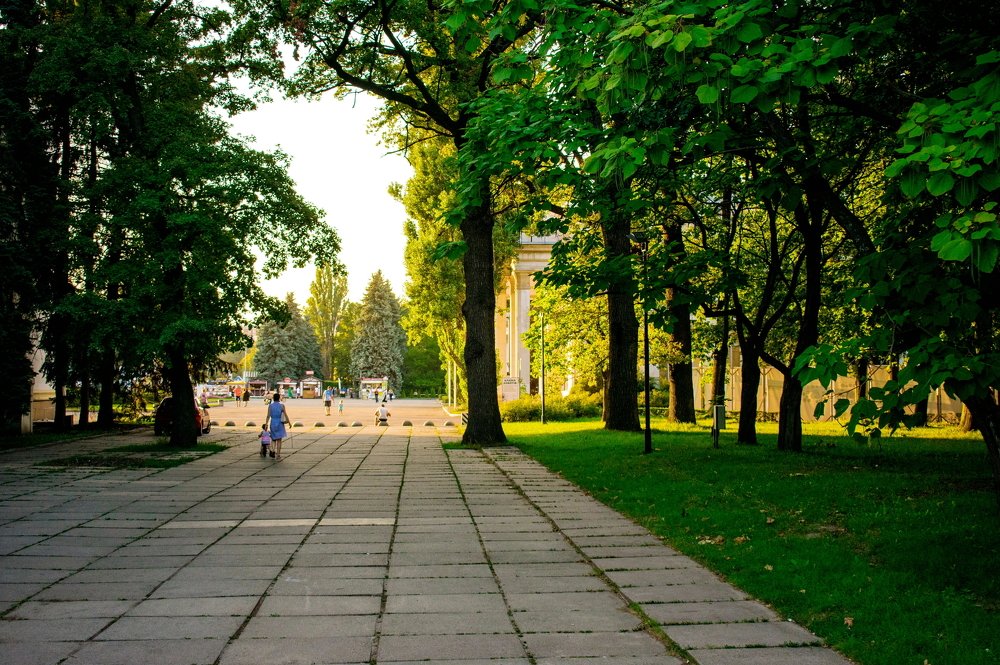 Photograph by Олександр Дмитрук