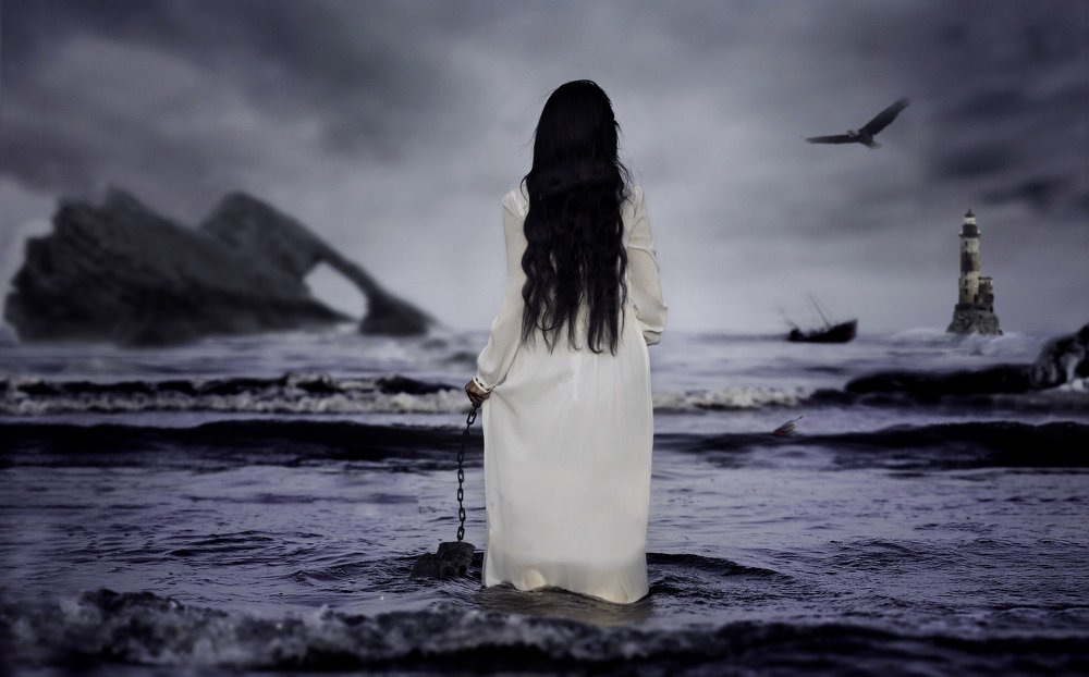 Фотография автора Milad Mohammadi