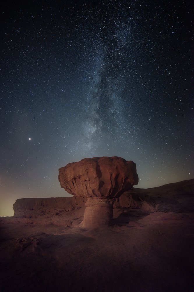 Photograph by Alex Savenok