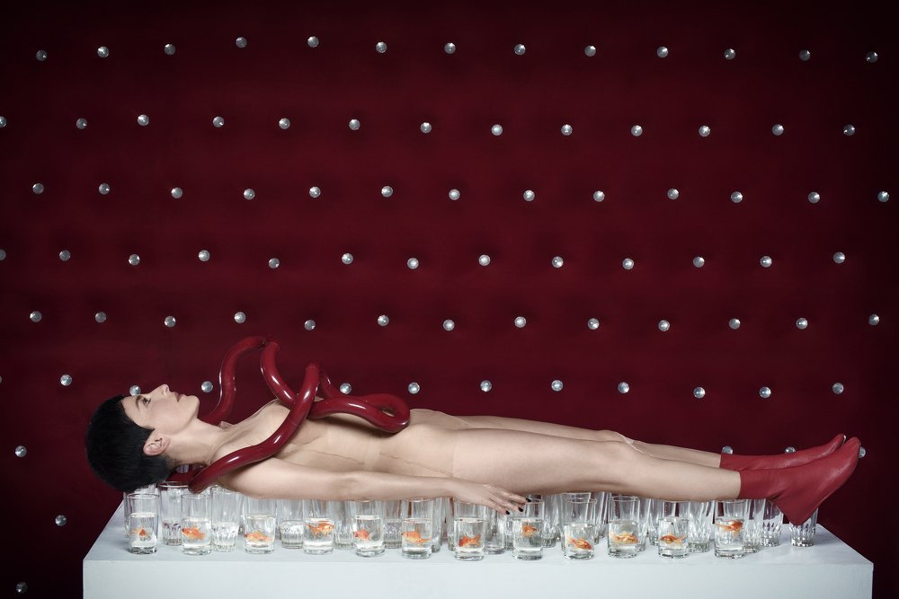 Photograph by elizabeth Palomino