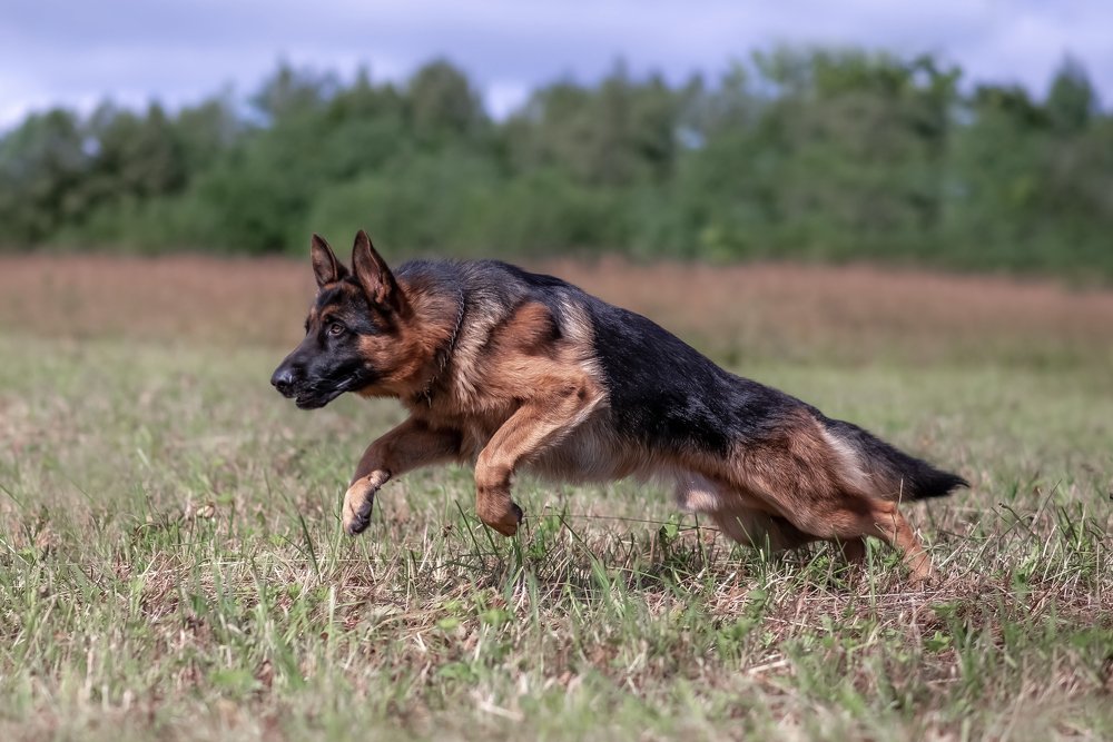 Photograph by Светлана