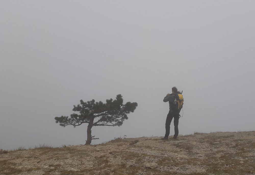 Фотография автора Сыч Римма