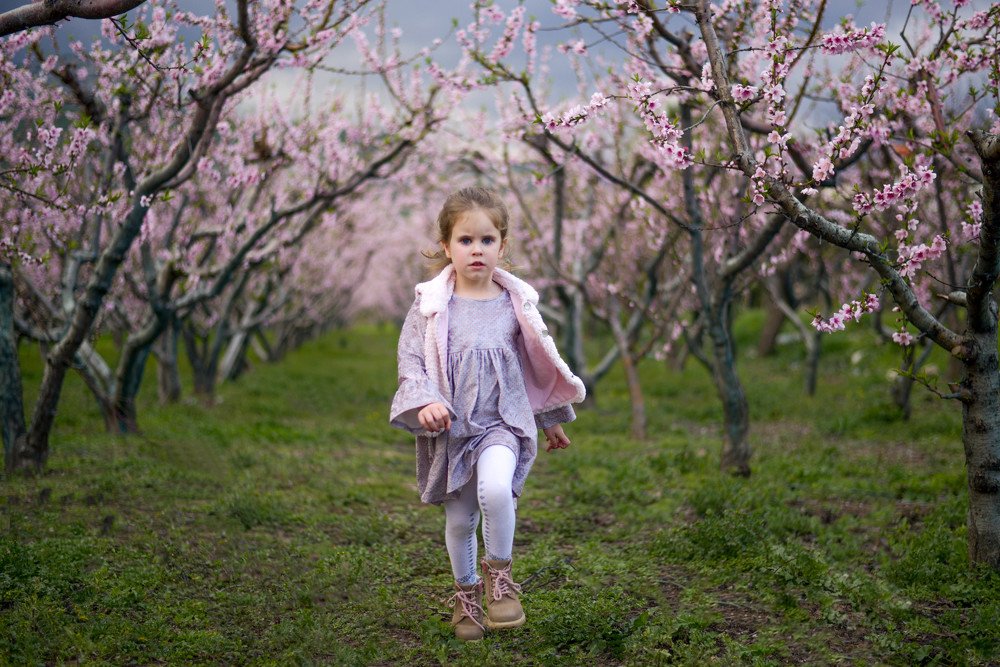 Фотография автора Дарья Пристай