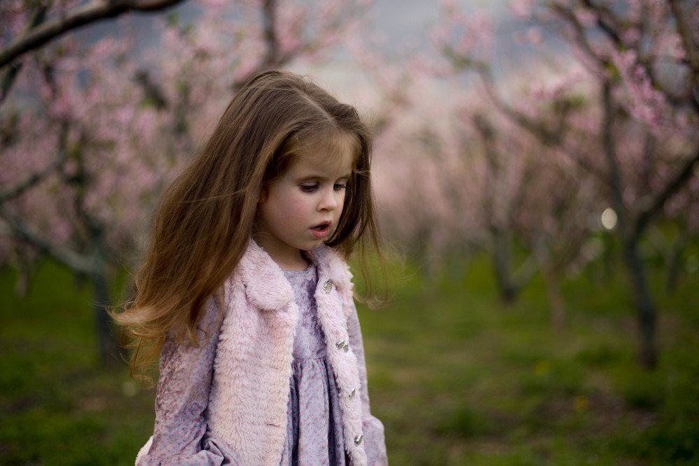 Фотография автора Дарья Пристай