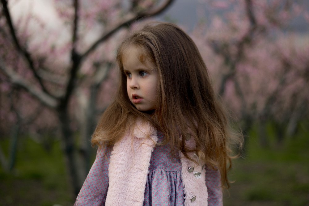 Фотография автора Дарья Пристай