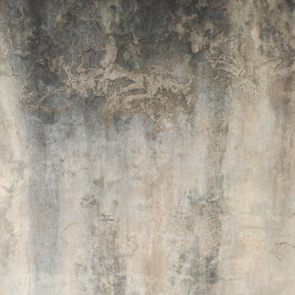 Photograph by sadra Bohlouli