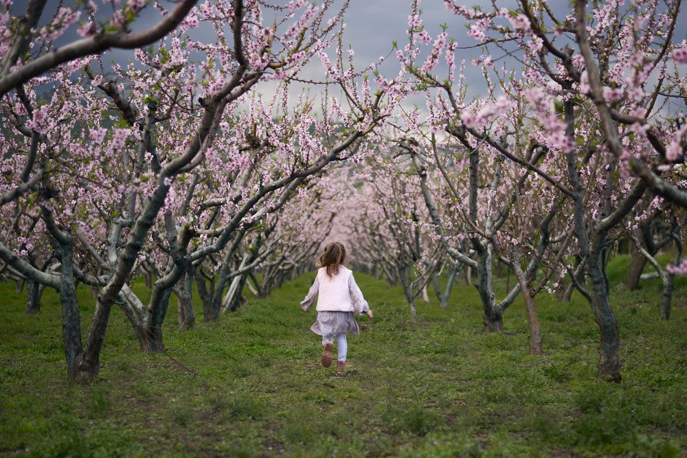 Фотография автора Дарья Пристай
