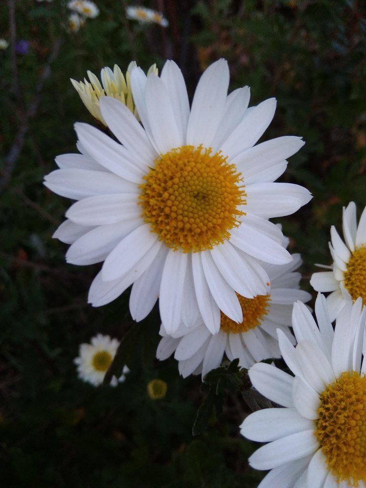 Photograph by Янина Платонова