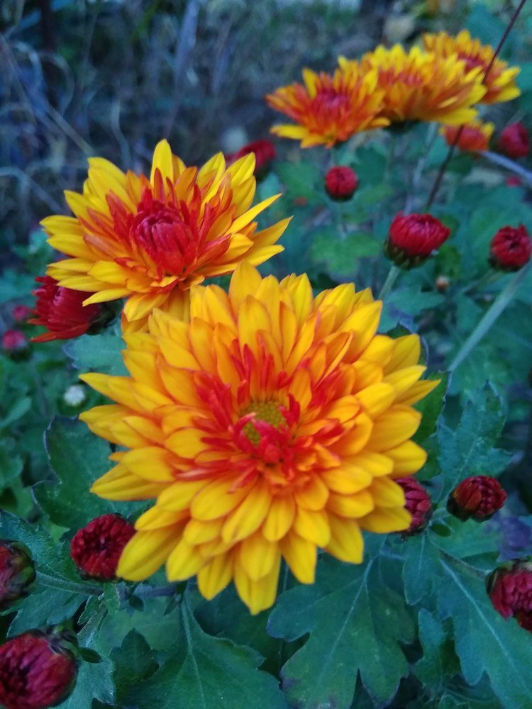 Photograph by Янина Платонова