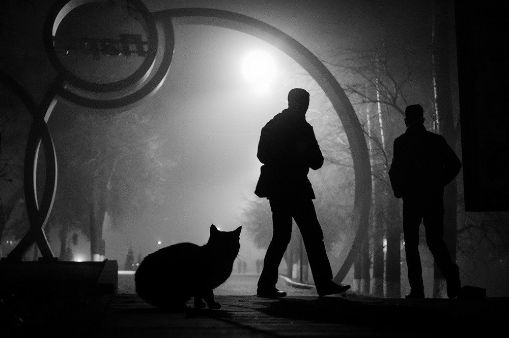 Призраки ночного города