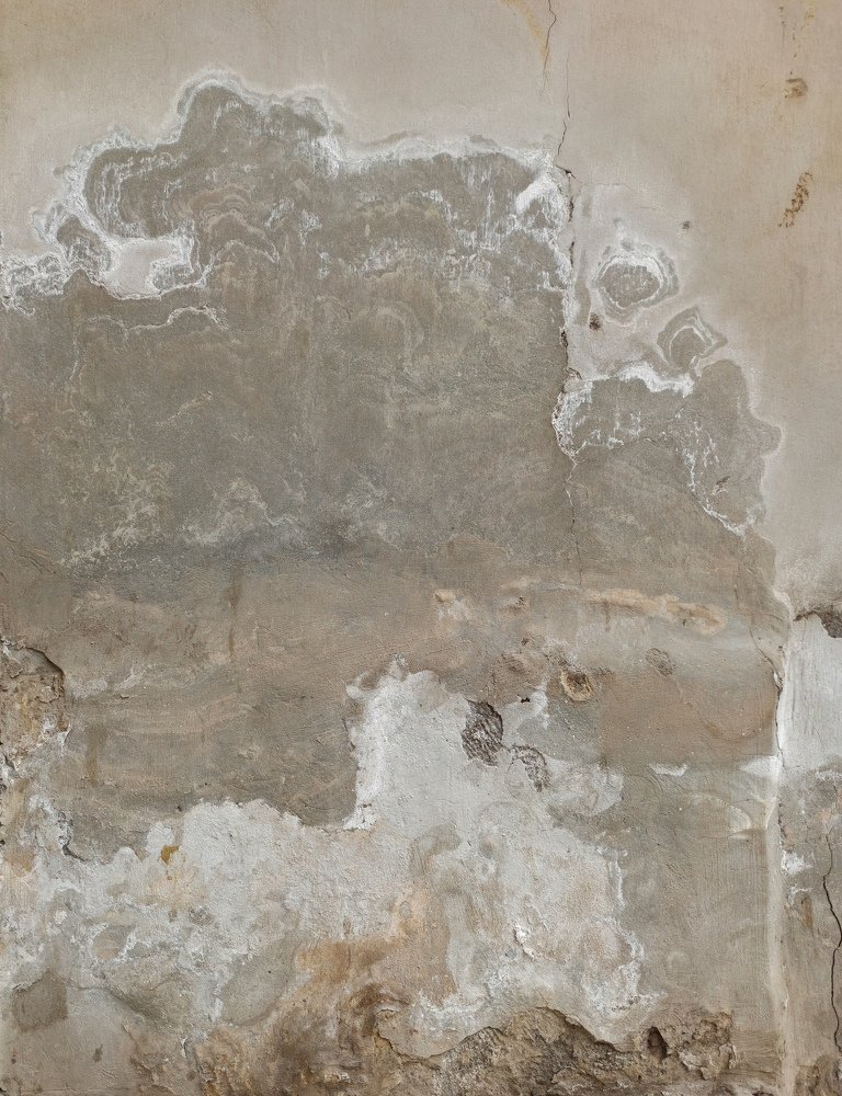 Photograph by sadra Bohlouli