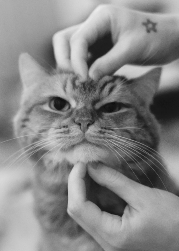 Photograph by Мария Воробьёва