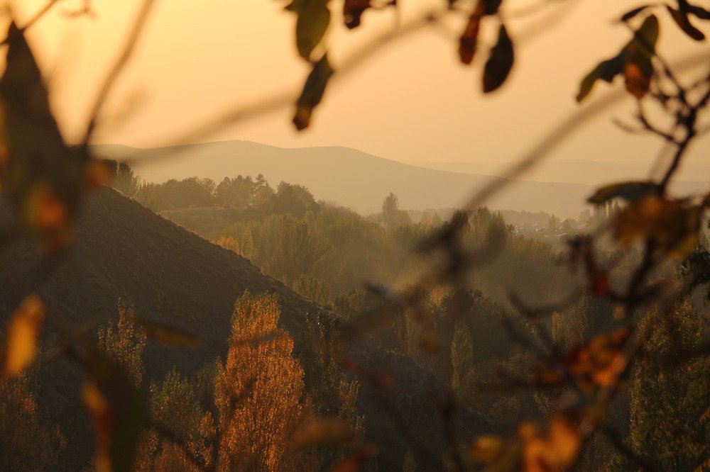 Осенние зарисовки