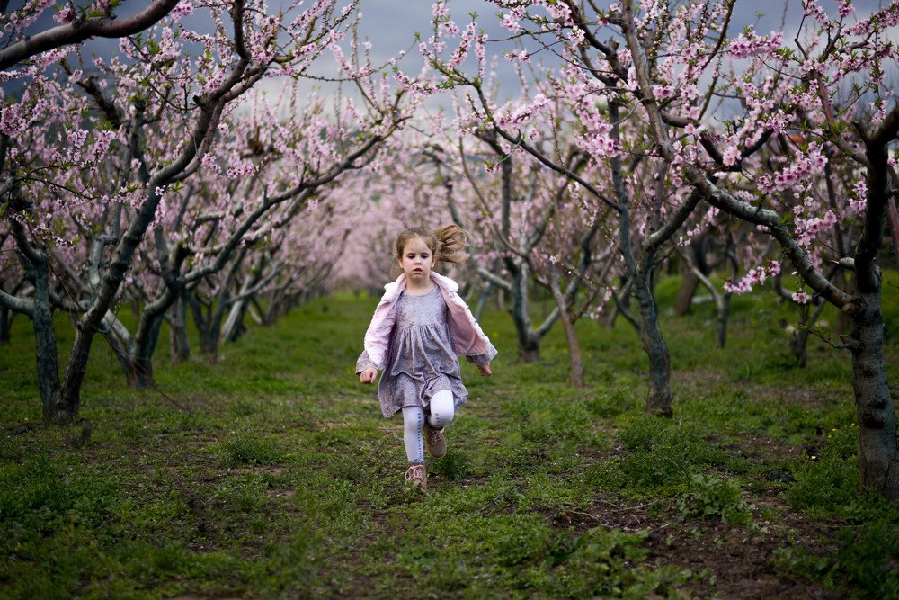 Фотография автора Дарья Пристай