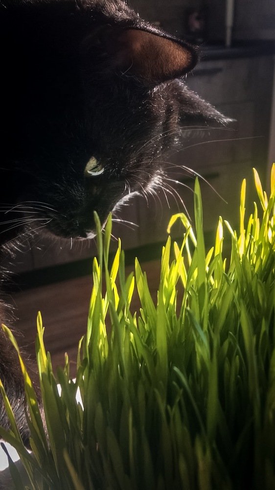 Photograph by Наталия Тарасова