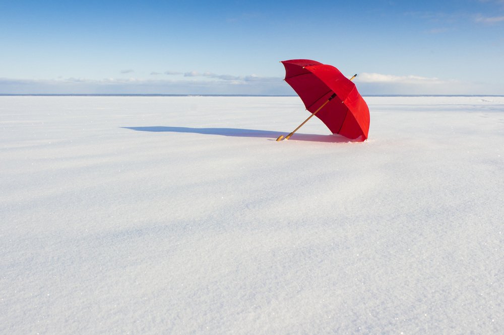 The riot in the white silence