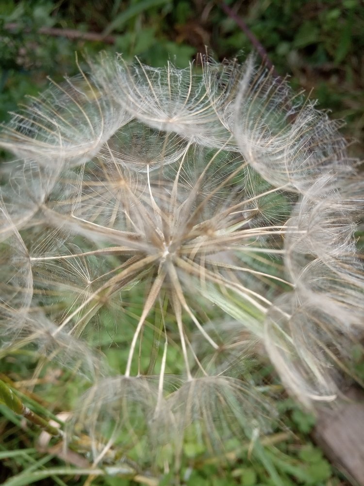 Photograph by Любовь Шаврина