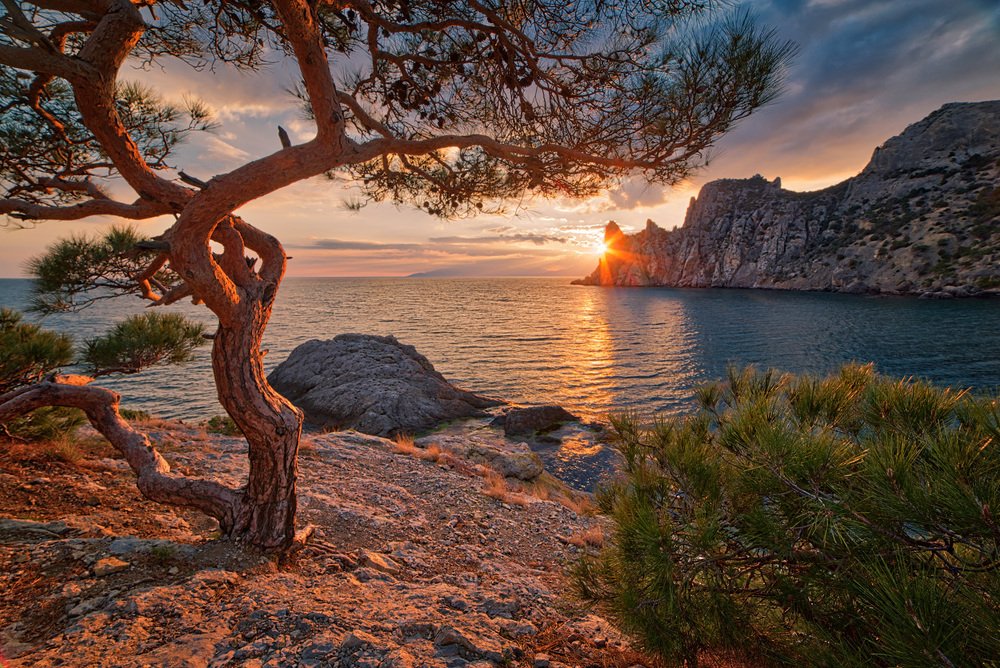 Photograph by Роман Колесников