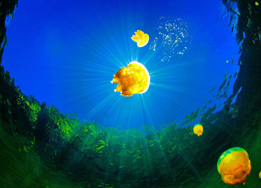 Парад планет