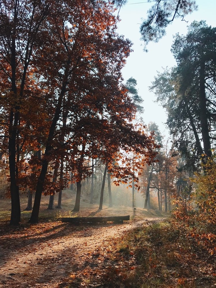 Photograph by Maria Yaroshevska