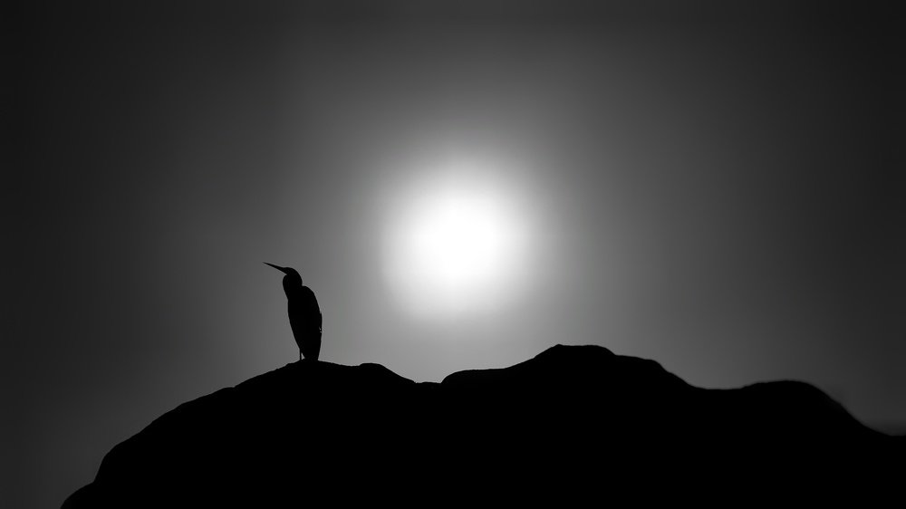 Photograph by Yamile Alfaro Picco