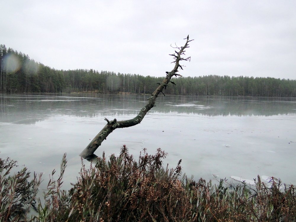 Photograph by Анна