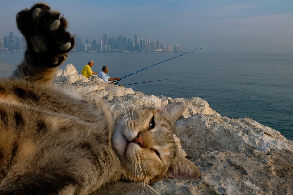 Photograph by Ajeesh Puthiyadath