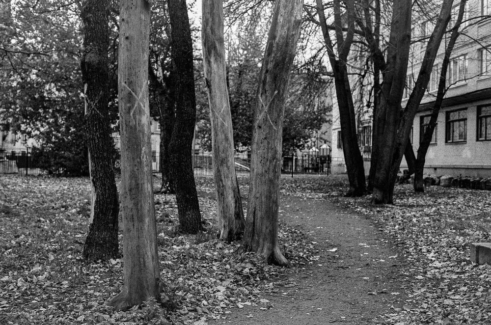 Exhausted (Истощенные)