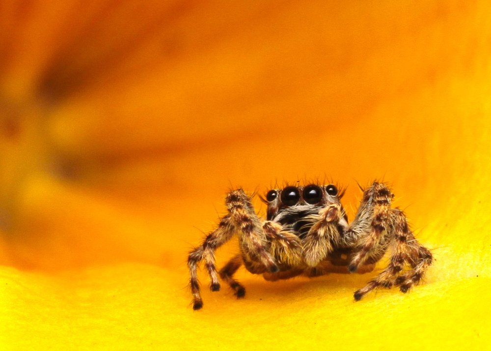 Photograph by Rommel Oliveros