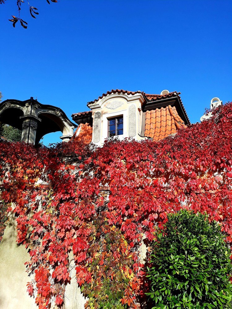 Photograph by Larissa Nayda