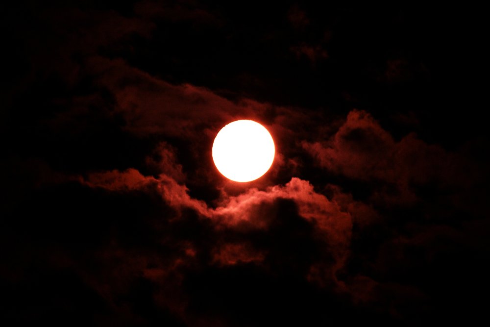 Photograph by Magali Agnello