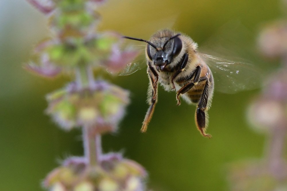 Photograph by Moura Denis