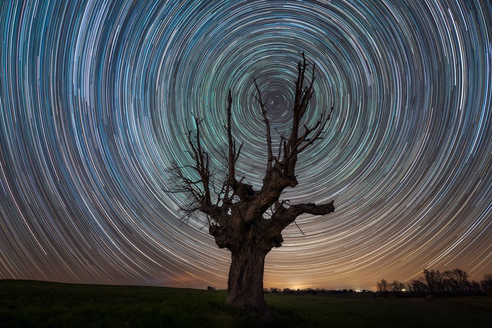 Photograph by Juan Yelin