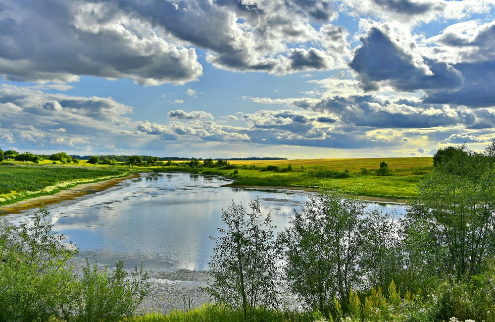 Степная речка.