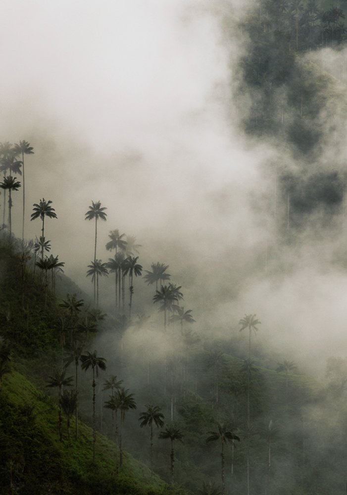 Perdido entre las nubes