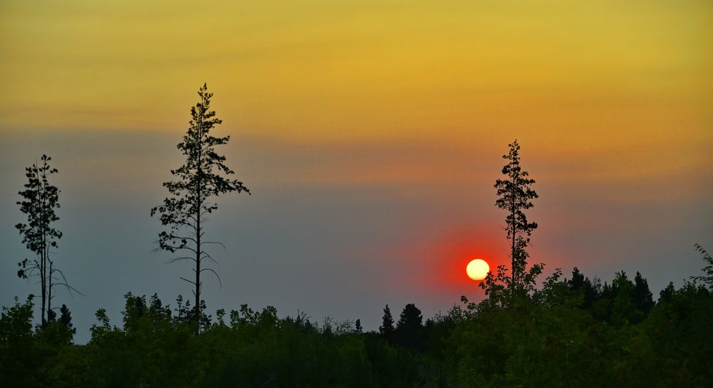 Жара на Алтае. Август 2019.