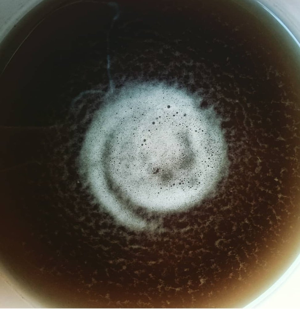 Una galaxia en mí té