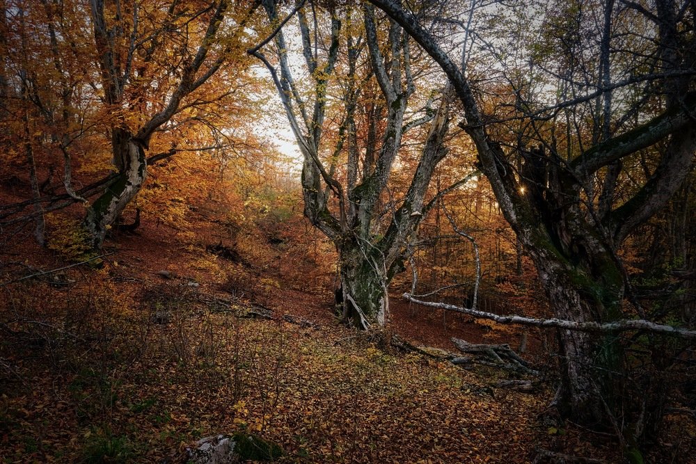 Осень в провале.