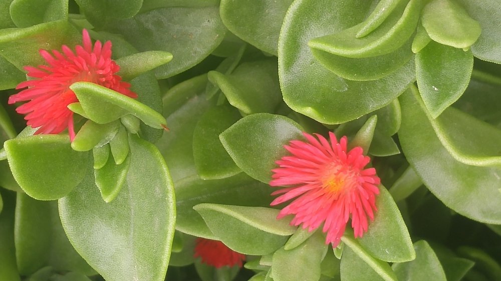 Photograph by SVITLANA