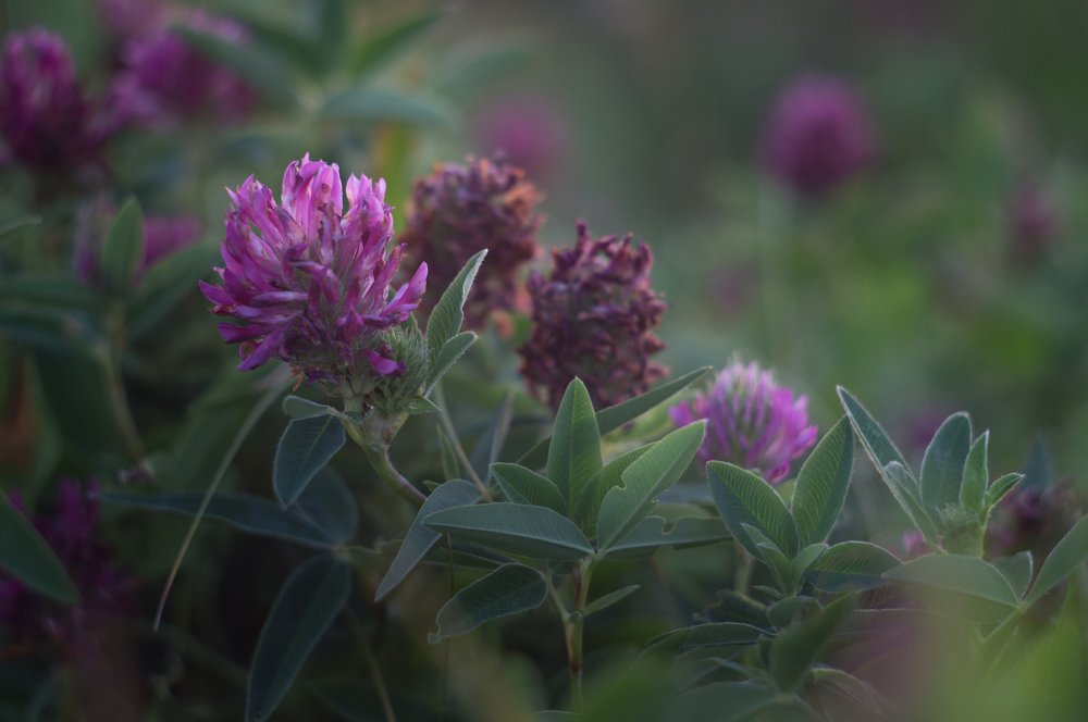 Photograph by Gabriel Wolf