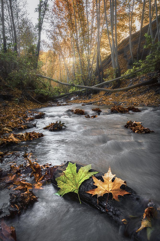 Photograph by Morteza Heidarian Mehr