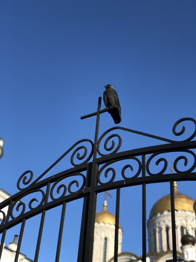 Photograph by Анастасия Бандрах