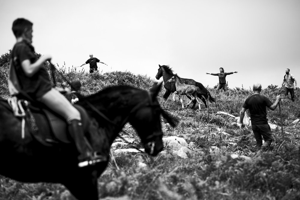 Photograph by Diogo Baptista