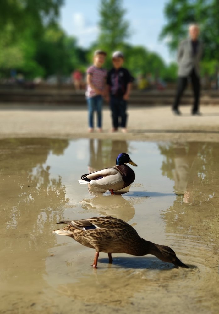 Photograph by Жанна Александровна