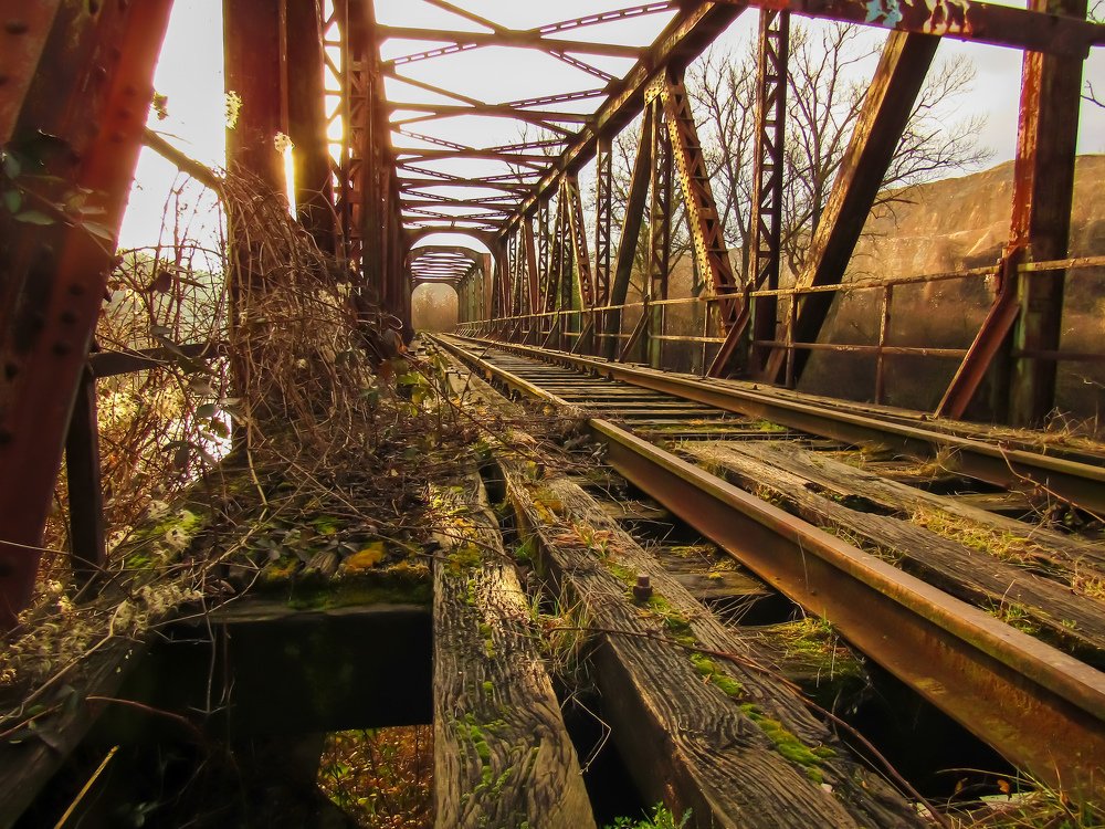 Photograph by Tarik Malagic